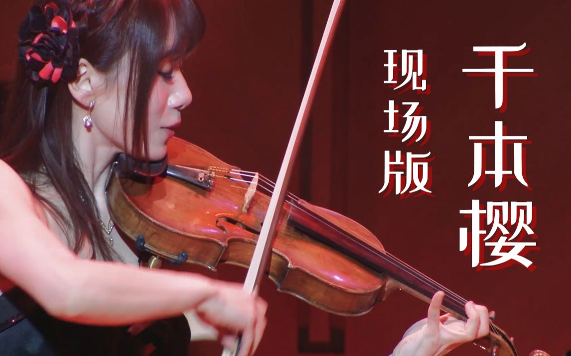 千本樱小提琴石川绫子图片