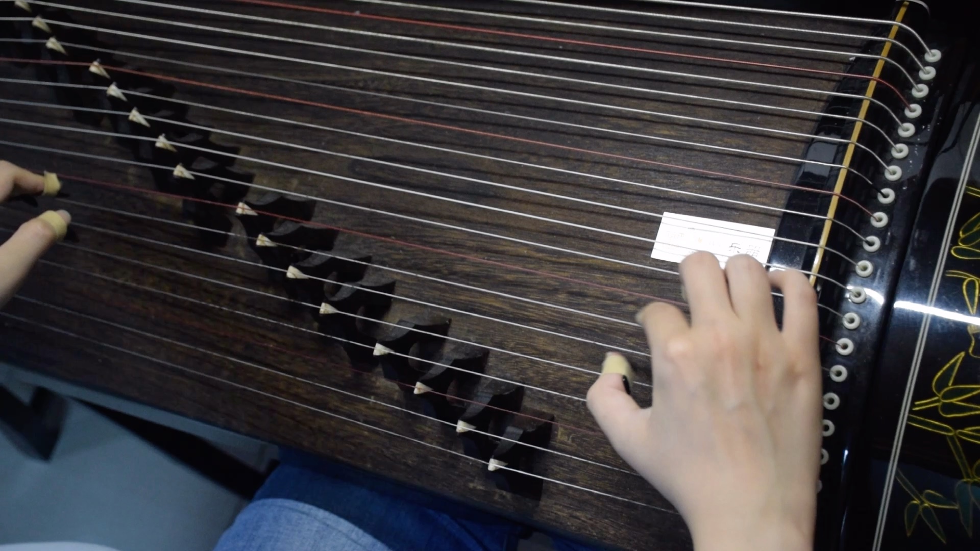 【古筝入门】小燕子