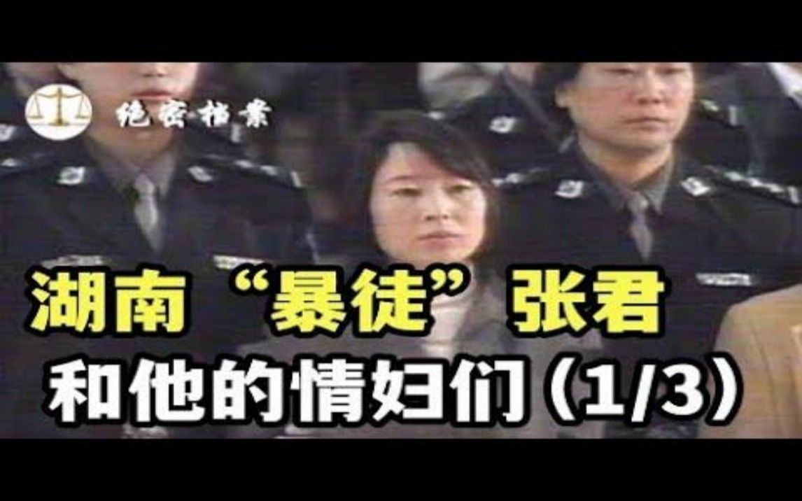 让全国都闻风丧胆,湖南“暴徒”张君,从普通农民到杀人不眨眼的大魔头,5个美貌情妇死心蹋地(1)哔哩哔哩bilibili