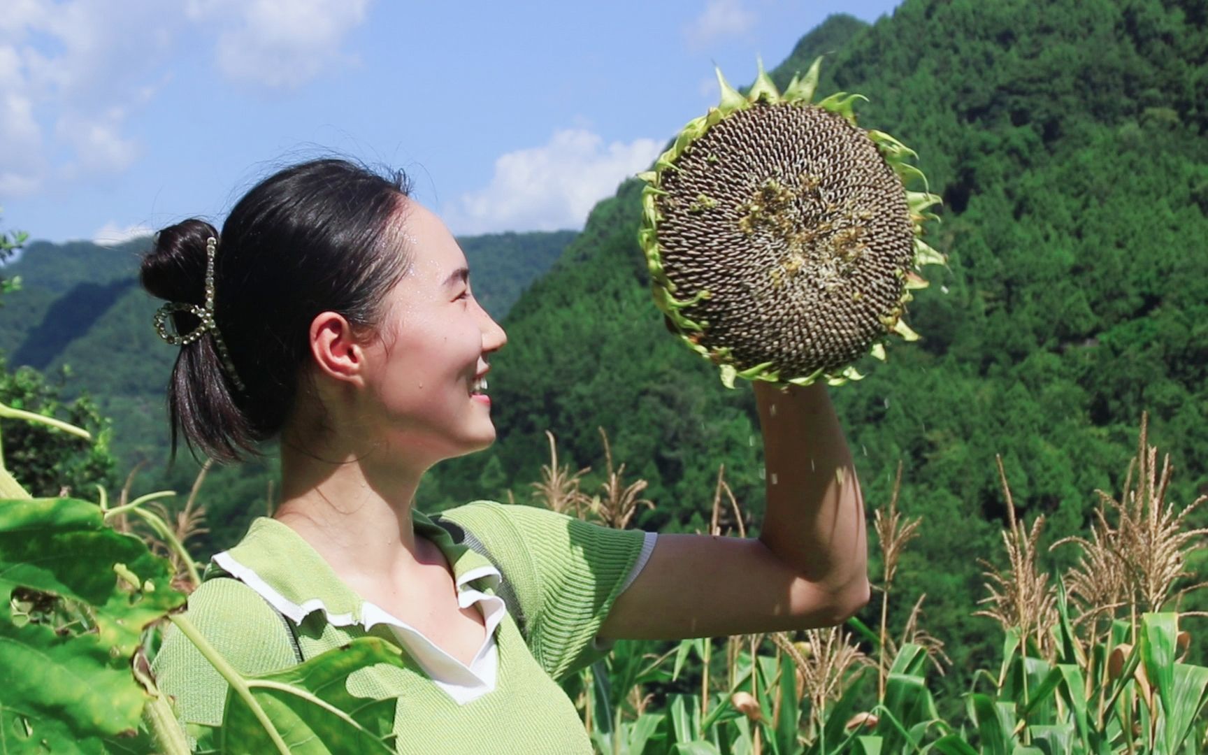 [图]出息啦，杂草地里收获了比脸还大的向日葵