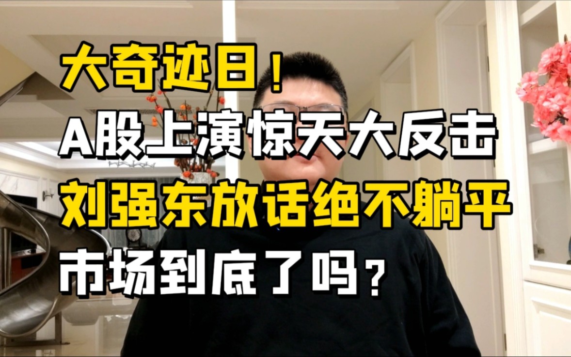 大奇迹日!A股上演绝地大反击,刘强东传递寒意,市场到底了吗?哔哩哔哩bilibili