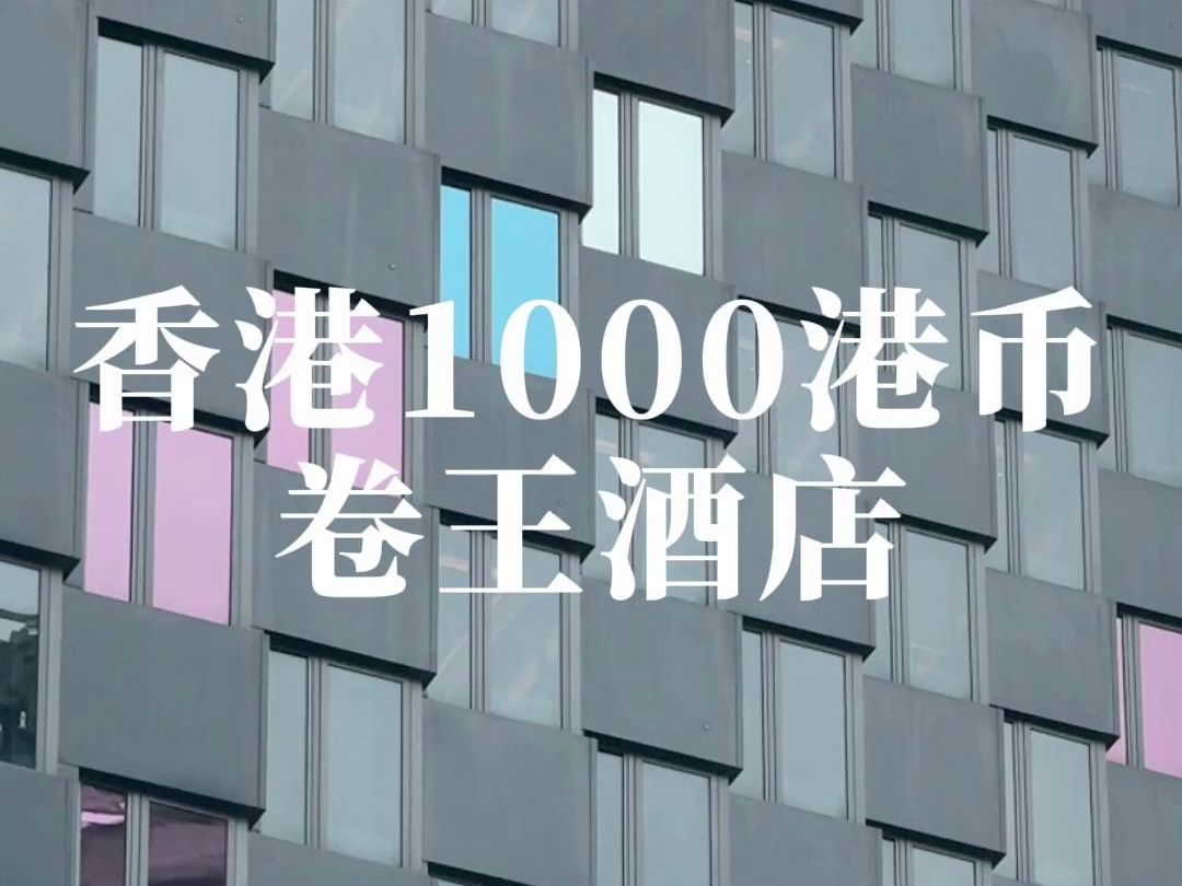 1000港币在香港我会住哪家酒店?维港景观、早餐爆表、屋顶泳池、宠物友好!哔哩哔哩bilibili