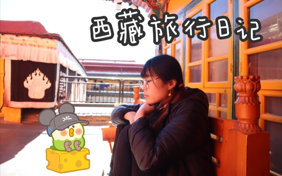 西藏旅行必打卡景点攻略 大昭寺「拉萨vlog」E5哔哩哔哩bilibili