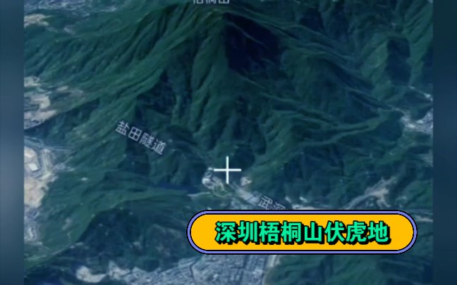 深圳梧桐山独有的伏虎地 风景太好了哔哩哔哩bilibili