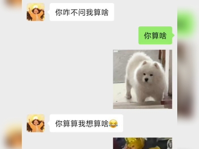 (算命遇到的奇葩客户)哔哩哔哩bilibili