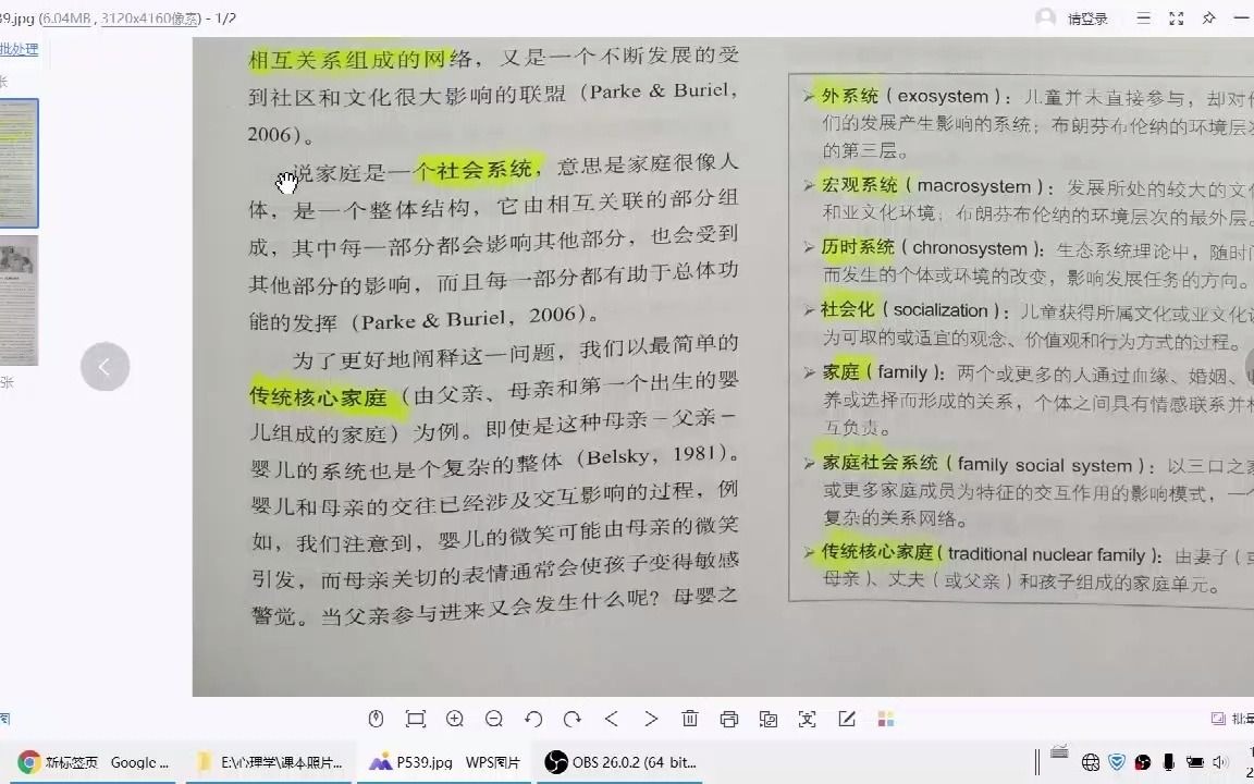 家庭作为一个社会系统哔哩哔哩bilibili