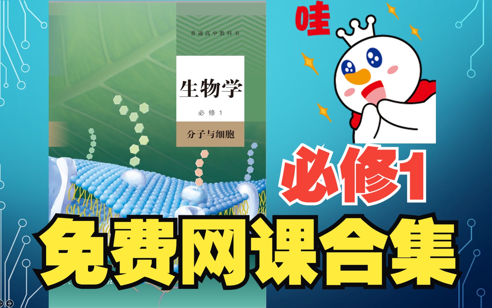 【2023重录】高中生物必修1分子与细胞合集新教材必修一人教版新高考新课标网课走近细胞组成细胞的分子酶主动运输细胞呼吸作用光合作用有丝分裂哔...