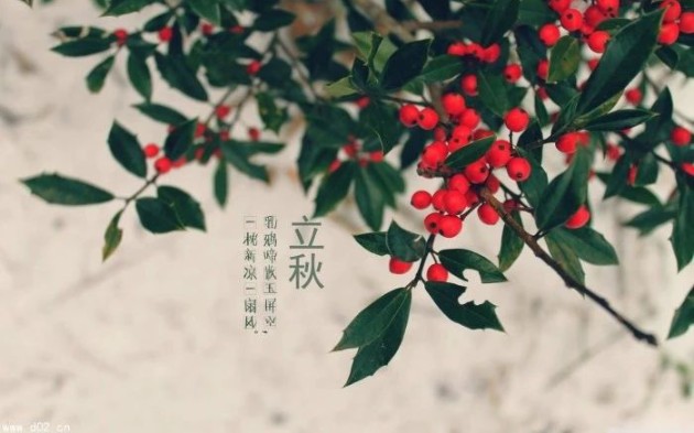 [图]【二十四节气之立秋】|立秋三候|立秋的一场雨