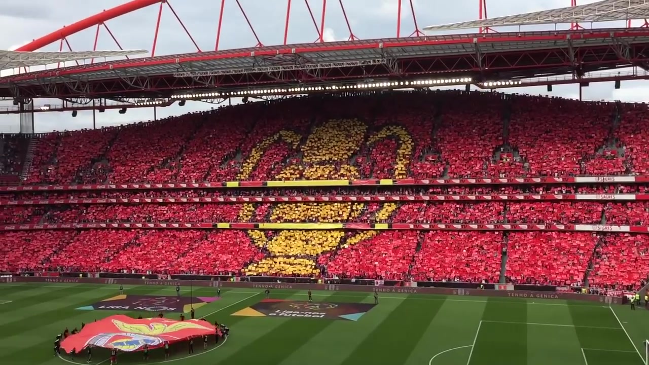 2016-17赛季葡超第33轮 本菲卡vs吉马良斯 葡超冠军加冕仪式 光明球场