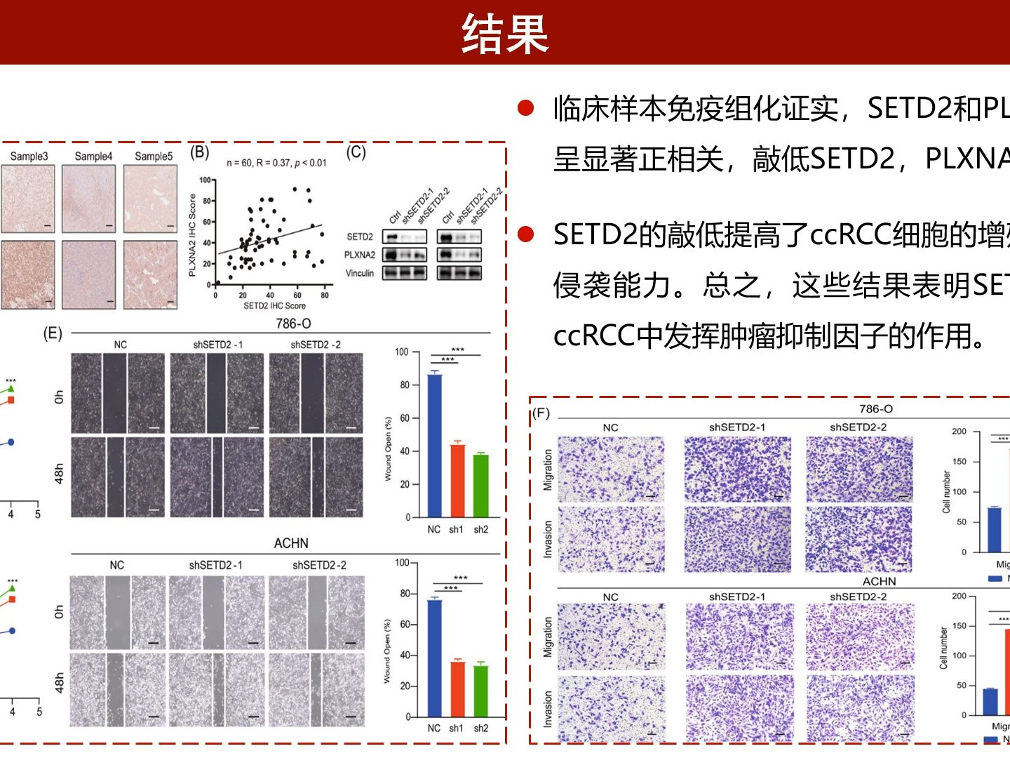 iMeta | 安徽医科大梁朝朝组基于多组学数据揭示肾透明细胞癌分子分型哔哩哔哩bilibili