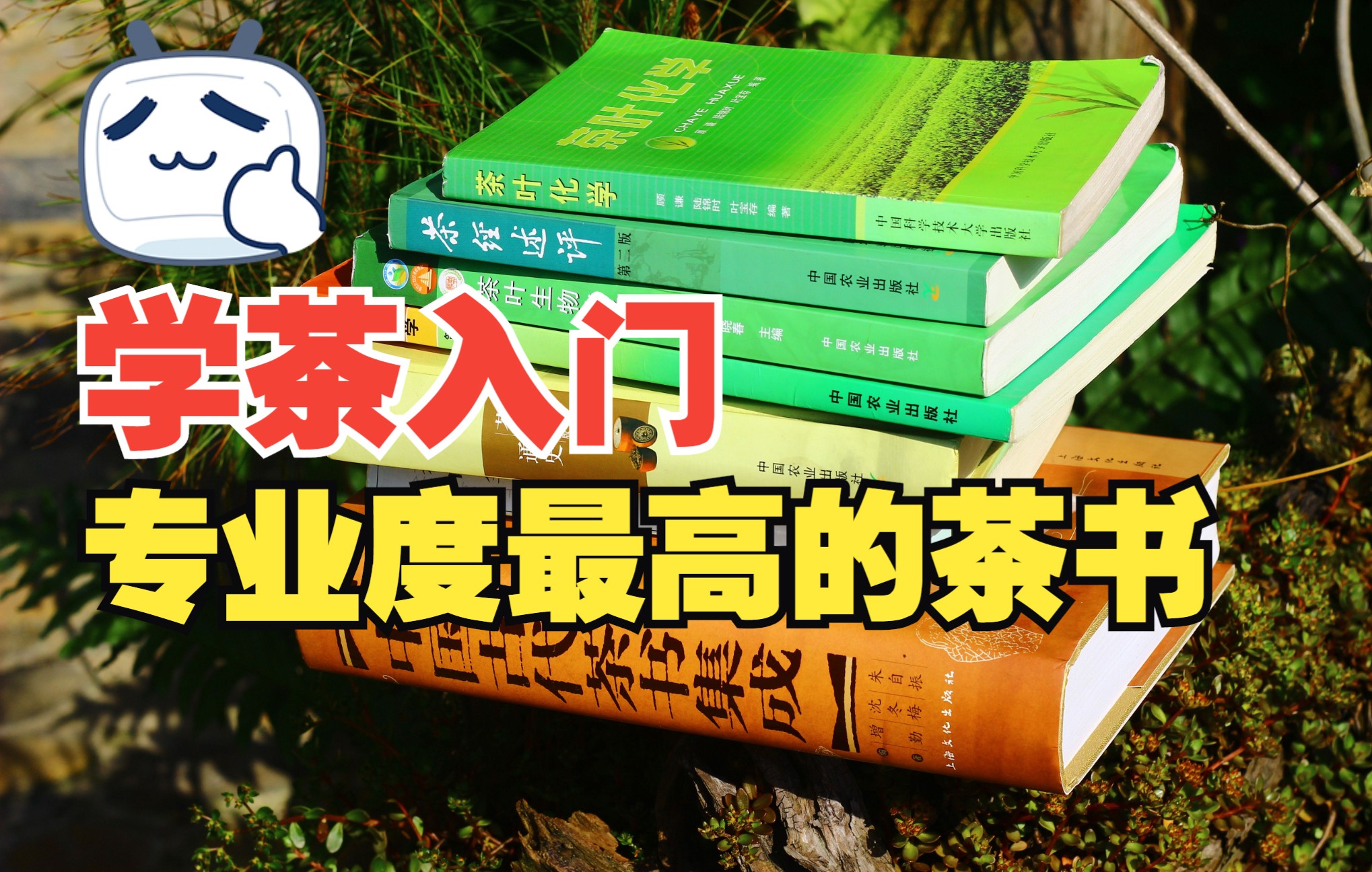 学茶笔记31 | 从入门到进阶的硬核学茶书单 ②哔哩哔哩bilibili