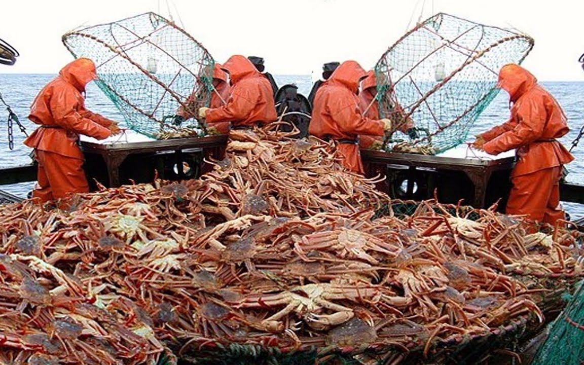 美国捕蟹船图片