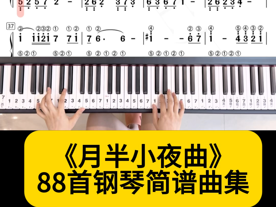 流行曲《月半小夜曲》80首精选钢琴简谱曲集哔哩哔哩bilibili