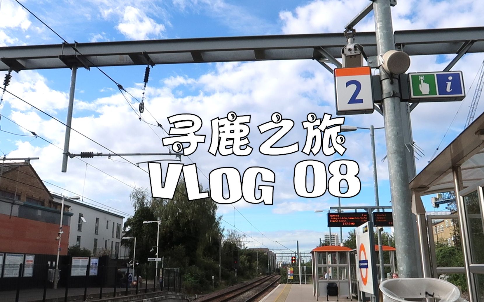 [图]Vlog08. 里士满寻鹿之旅 | Richmon Park 【Sybil的伦敦杂记】