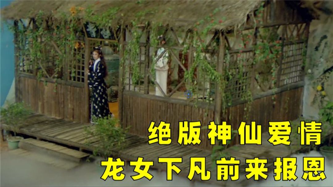 82年的台湾经典老电影,真正的绝版神仙爱情,至今无人能及!