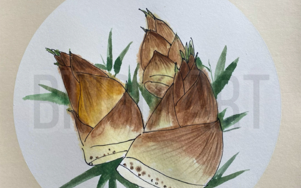 活动  儿童画《竹笋》