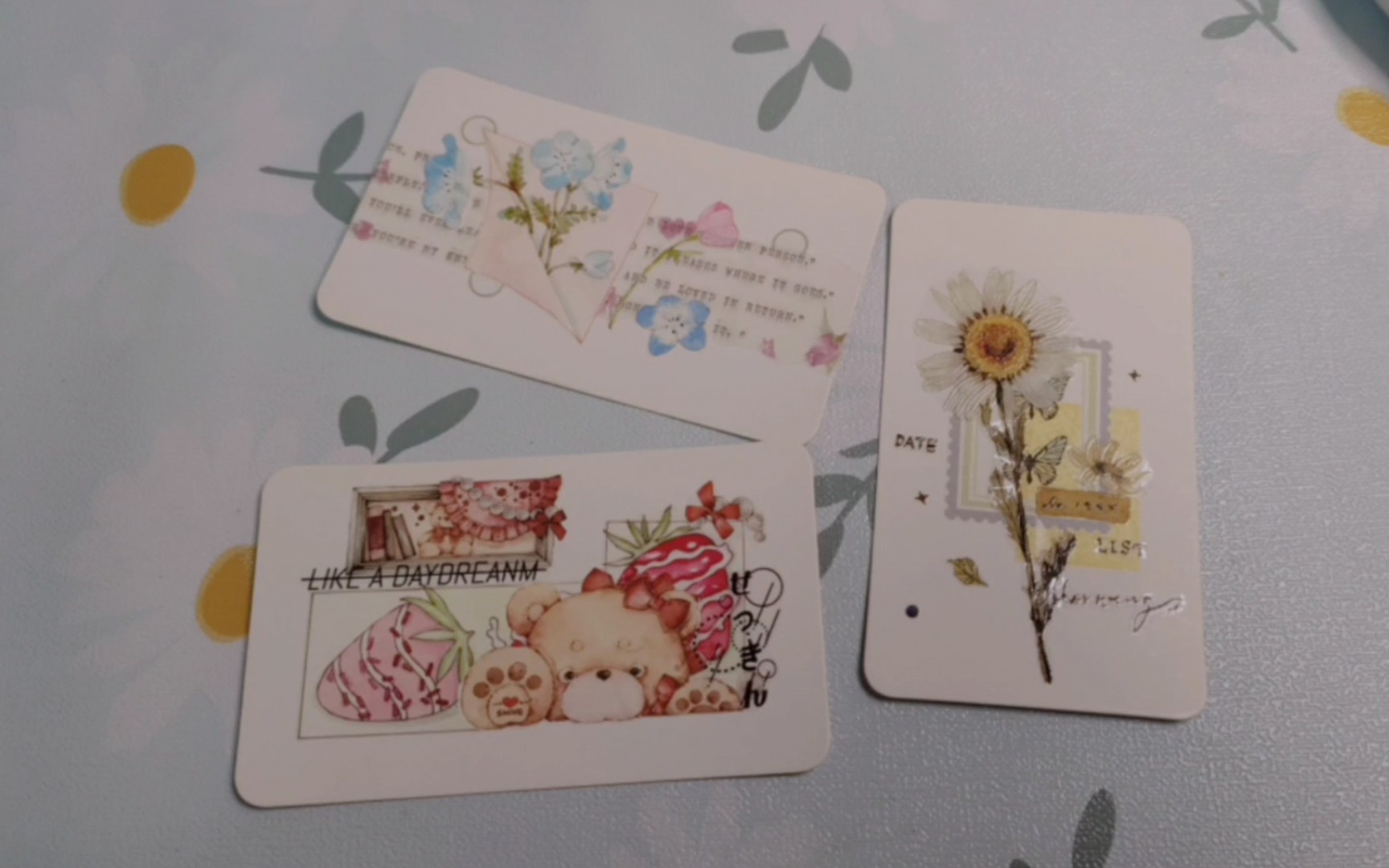 【燃燃的手帐】贴小卡～出镜胶带:专属熊熊,月见草,向阳而生_哔哩哔哩
