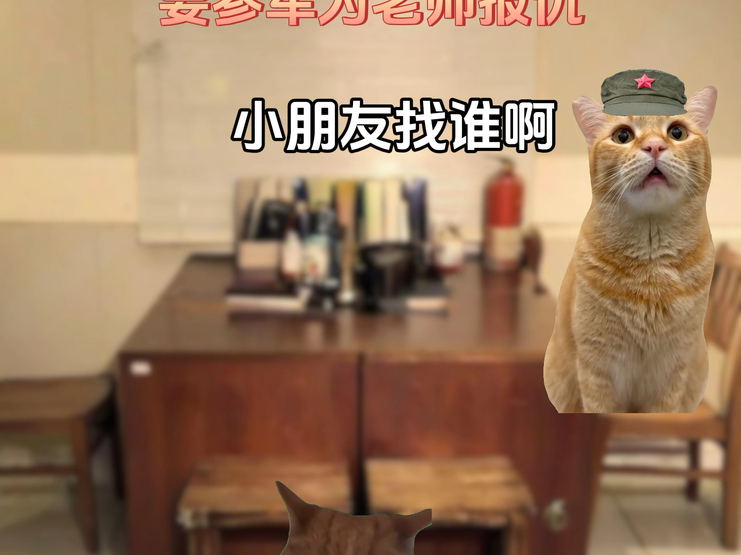 小个子大英雄#猫meme小剧场#抗美援朝#英雄事迹哔哩哔哩bilibili