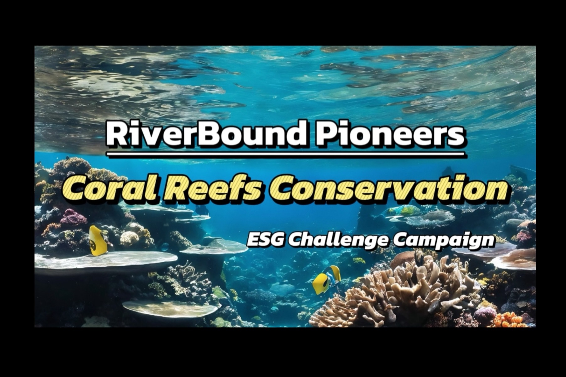 我在b站的第一条视频居然为珊瑚礁而发?