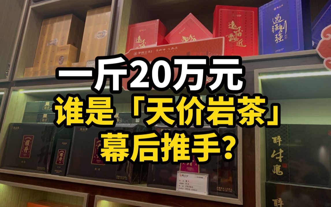 一斤20万元,谁是“天价岩茶”幕后推手?哔哩哔哩bilibili