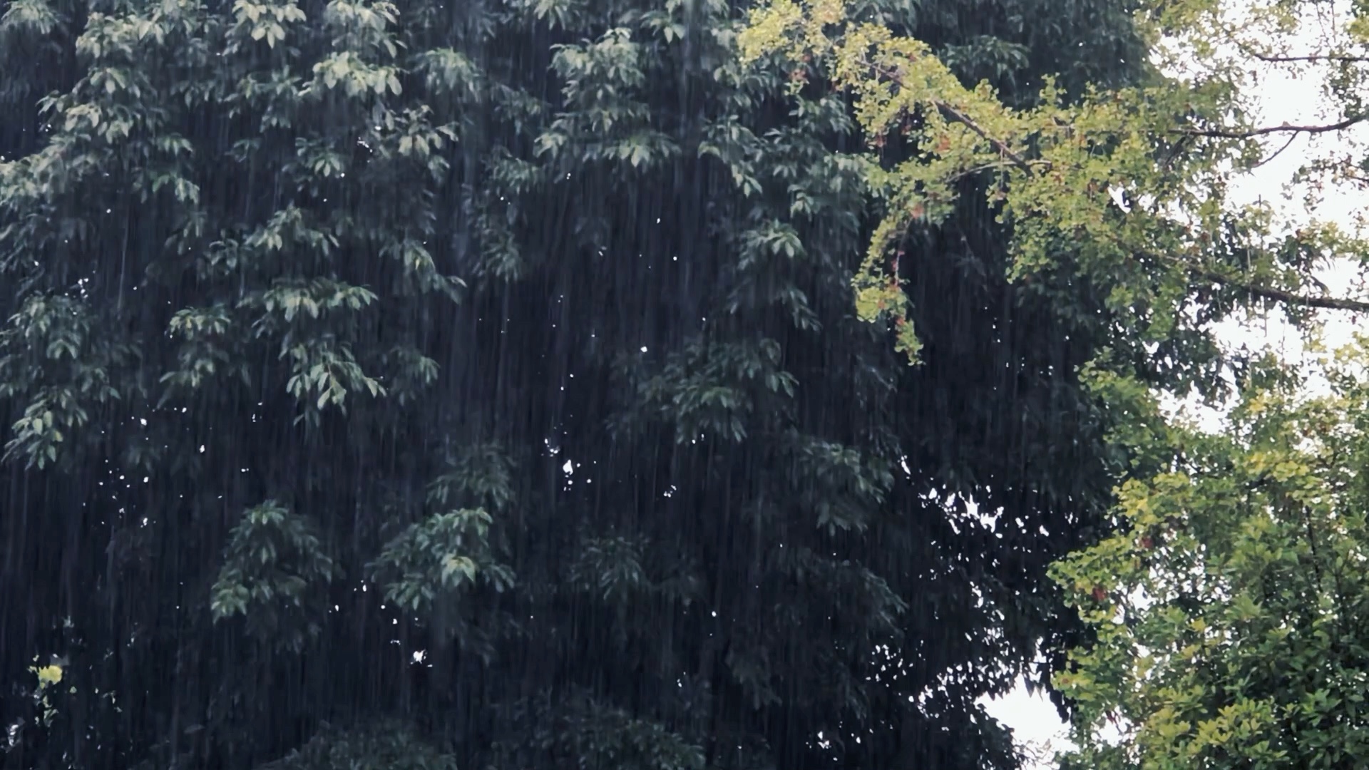 下雨天文案配图图片