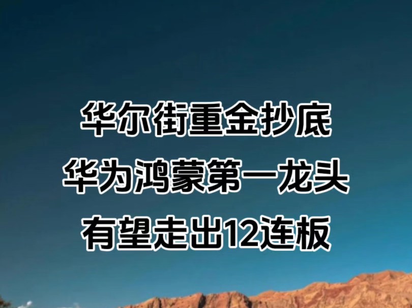 华尔街重金抄底,华为鸿蒙第一龙头,有望走出12连板哔哩哔哩bilibili