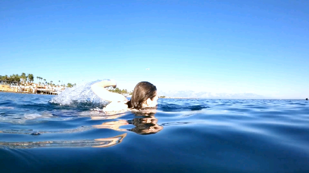 你没看见人家在游泳吗
