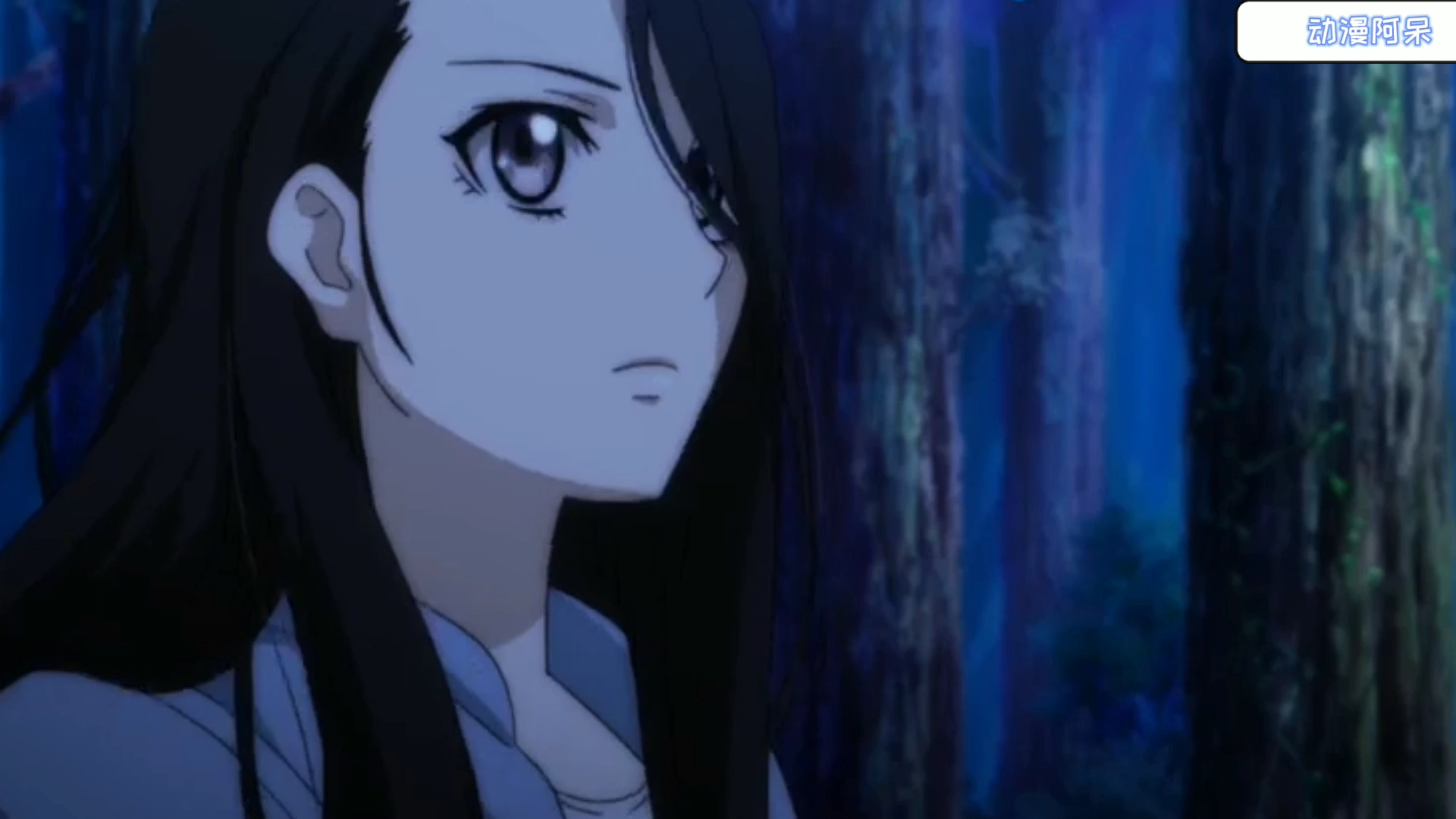 宝儿姐带你上高速听名字就知道这套功法不简单