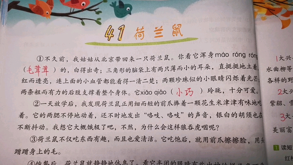 三年级语文阅读理解《荷兰鼠》,“AABC”式的词语你知道哪些?哔哩哔哩bilibili