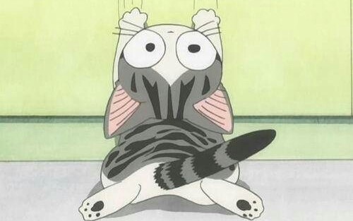 【猫咪表情包】为什么会这么可爱?