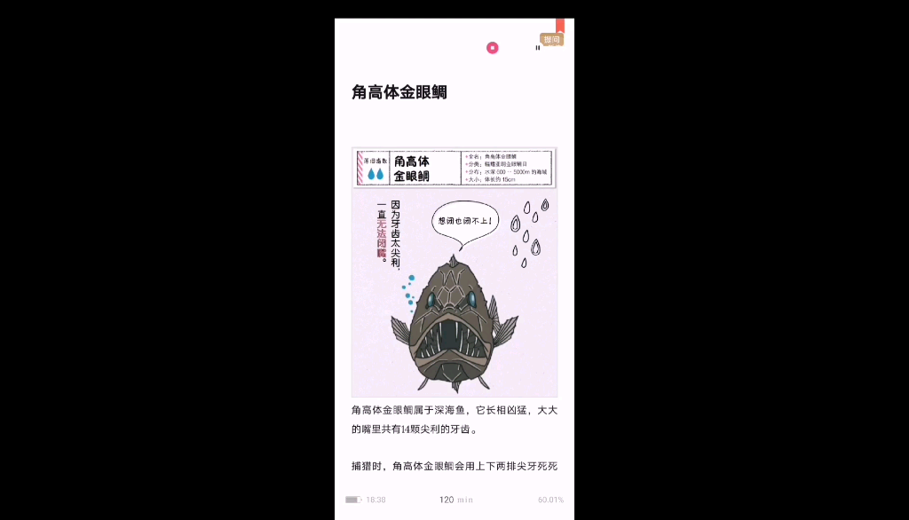 超萌动物辛酸史|角高体金眼鲷哔哩哔哩bilibili