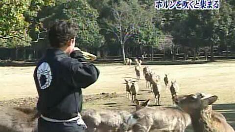 トリビアの泉 018 03年3月10日放送 哔哩哔哩 Bilibili