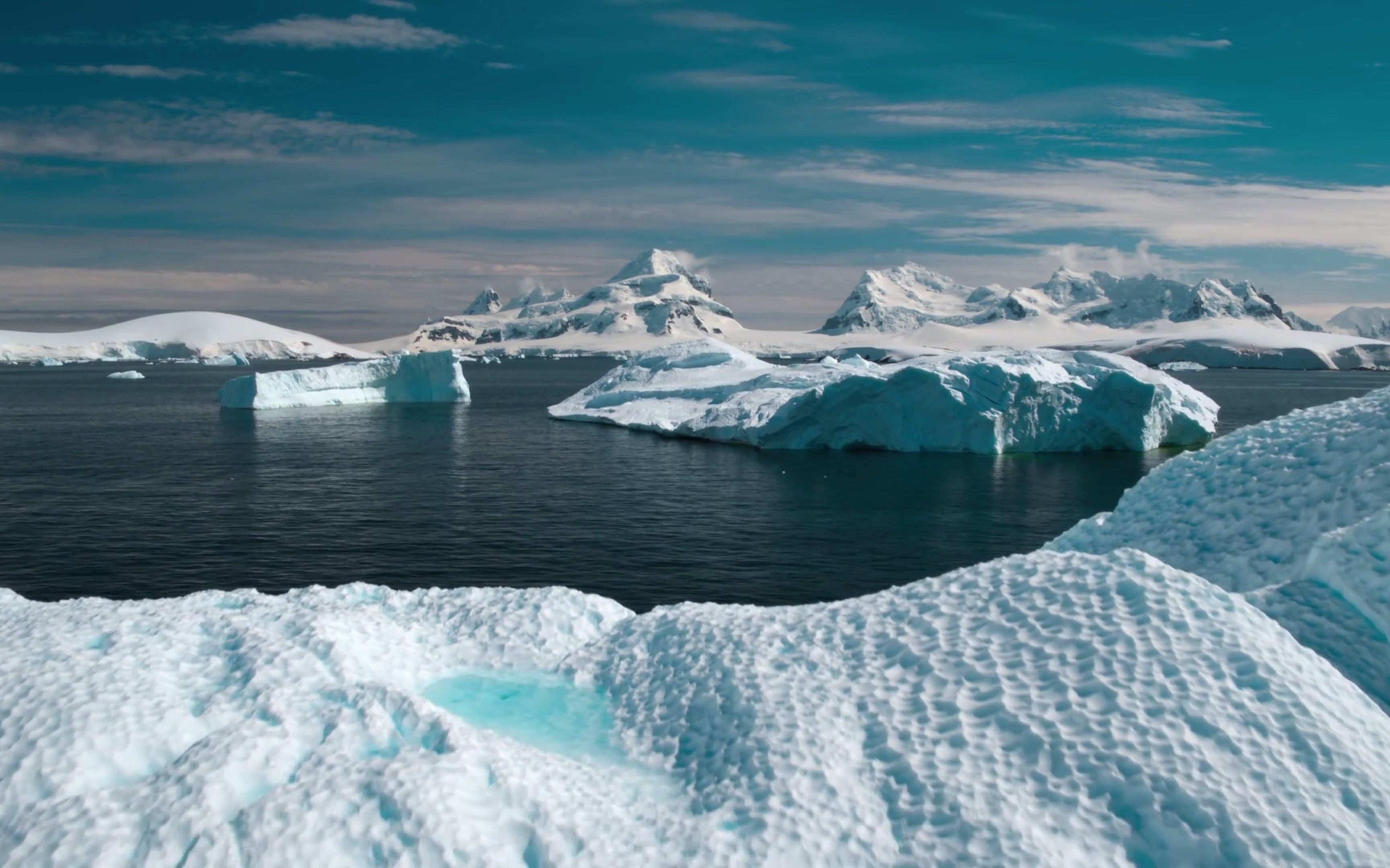【1080p/冰川海洋剪辑】生命不息,奇迹不止