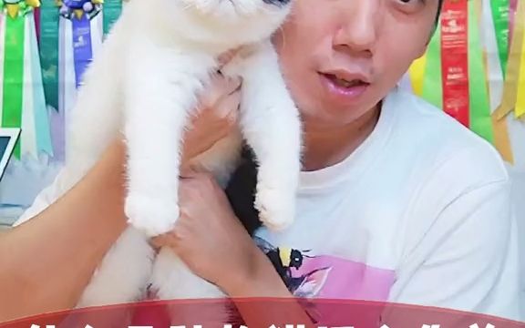 加菲猫也许是纯种猫中最懒的一种,你觉得呢?#品种猫 #纯种猫介绍 #异国短毛猫 #加菲猫 #南哥说猫 #纯种猫多少钱一只哔哩哔哩bilibili