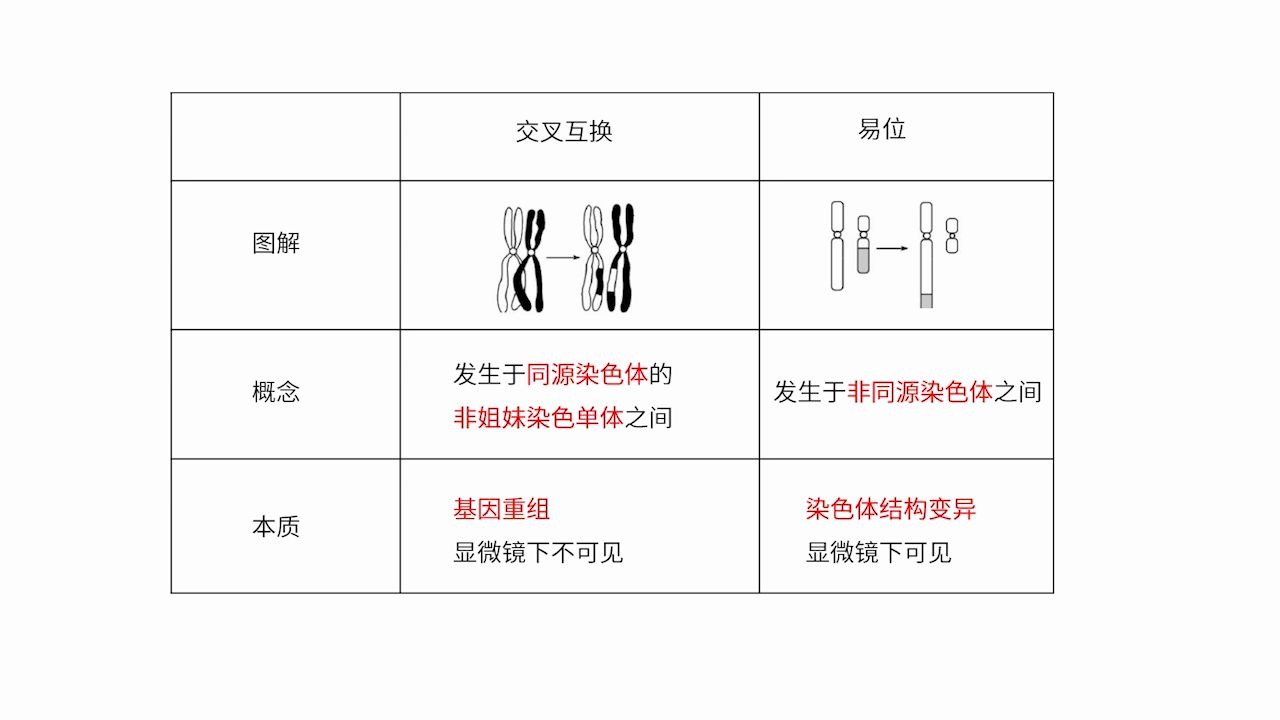 【生物】染色体的交叉互换与染色体异位哔哩哔哩bilibili