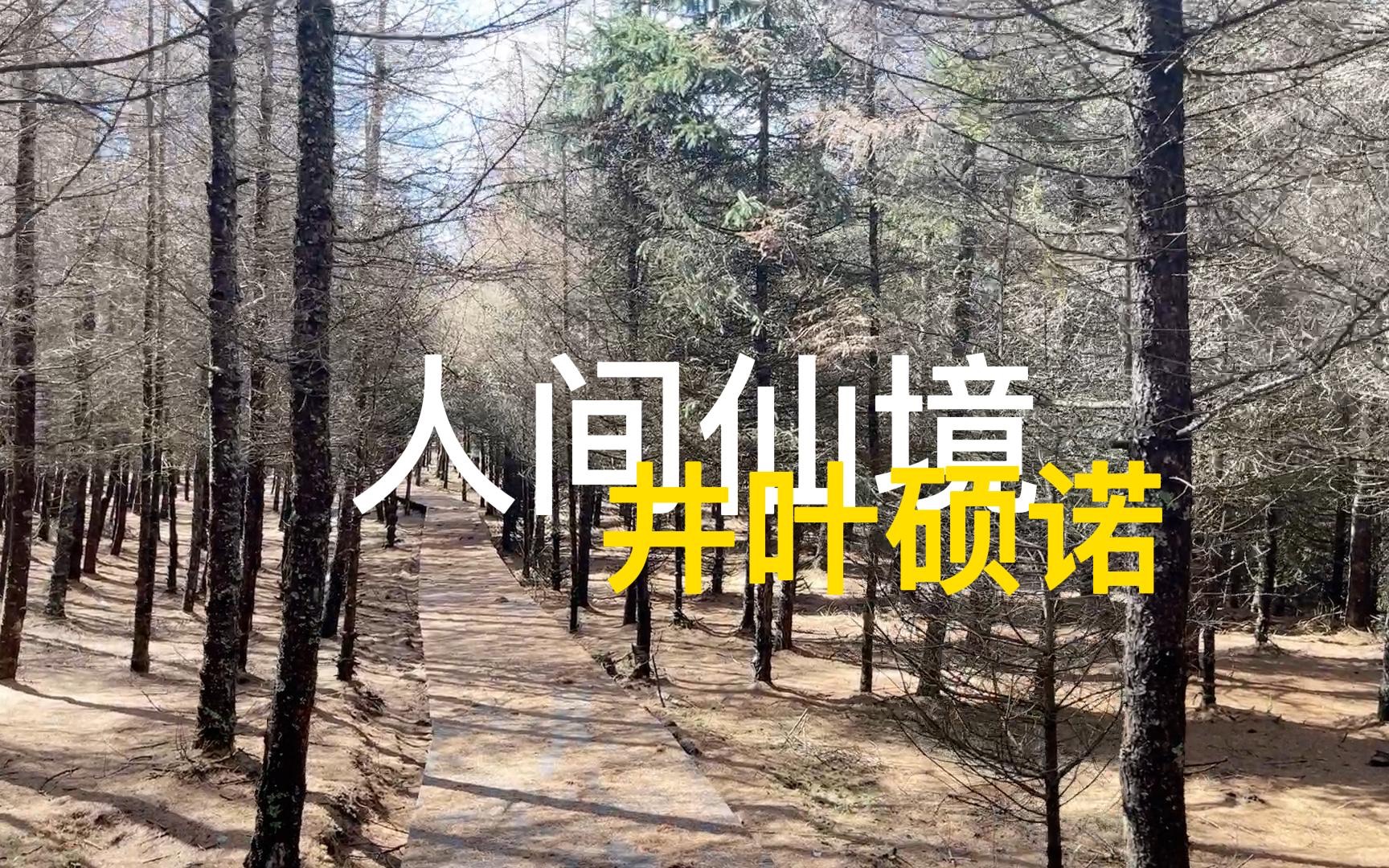 记者vlog 凉山送"衣"行番外篇:半路发现一处人间仙境