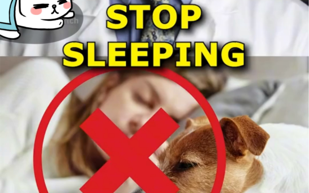 Stop sleeping with yout dog注意下!和狗狗一起睡觉的坏处……哔哩哔哩bilibili