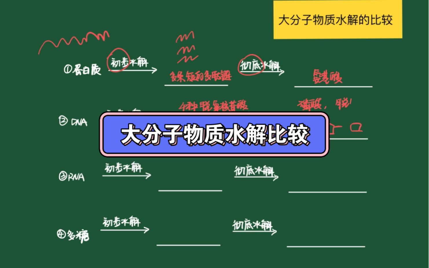 新/旧高考|生物|细节知识点|1.16大分子物质水解比较哔哩哔哩bilibili