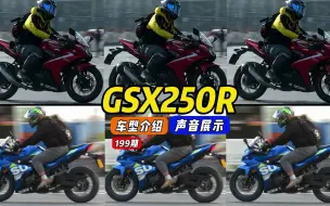 Descargar video: 铃木GSX250R/小小R,入门跑车/仿赛神车，实拍车型介绍，声音展示