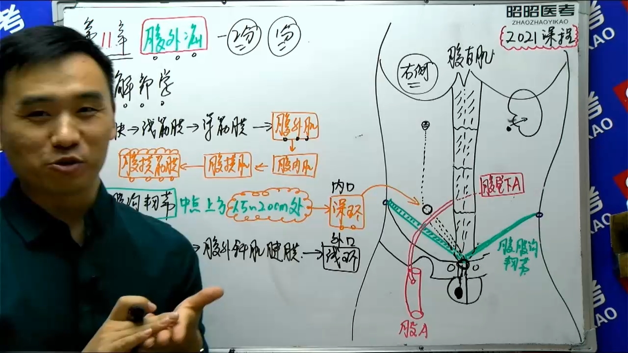 [图]消化系统-11腹外疝1