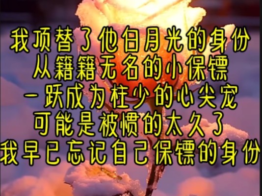 《浩浩强势》我顶替了他白月光的身份,从籍籍无名的小保镖一跃成为柱少的心尖宠,可能是被惯的太久了,我早已忘记自己保镖的身份哔哩哔哩bilibili