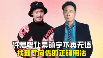 许君聪让吴镇宇不再无语，找到了向佐的正确用法