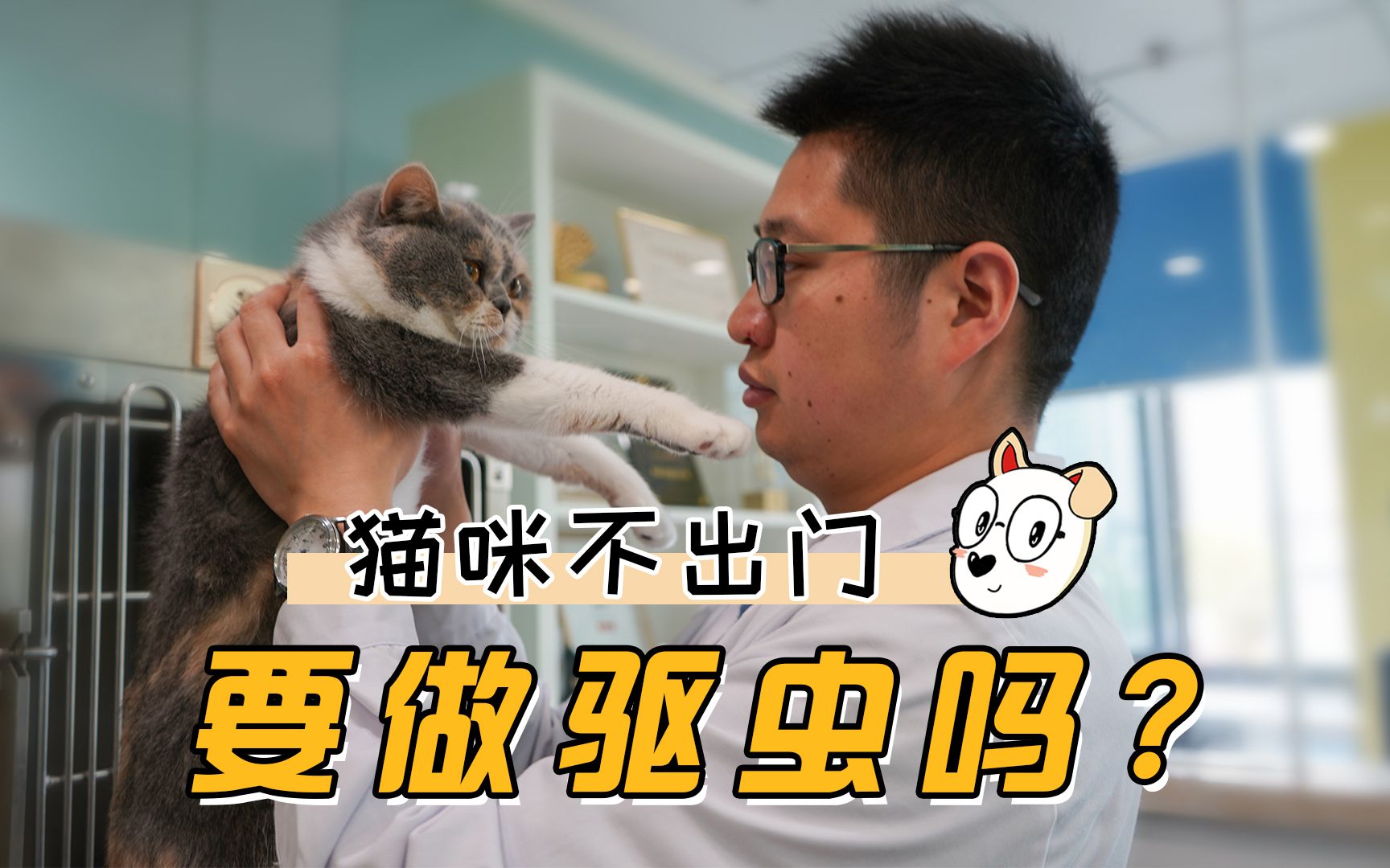 猫不出门要驱虫吗?答案在这里,并且告诉哪种驱虫药好哔哩哔哩bilibili