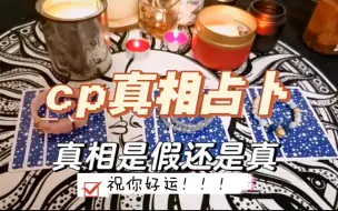 Tải video: 【你的cp是真的吗？还是人前营业！】