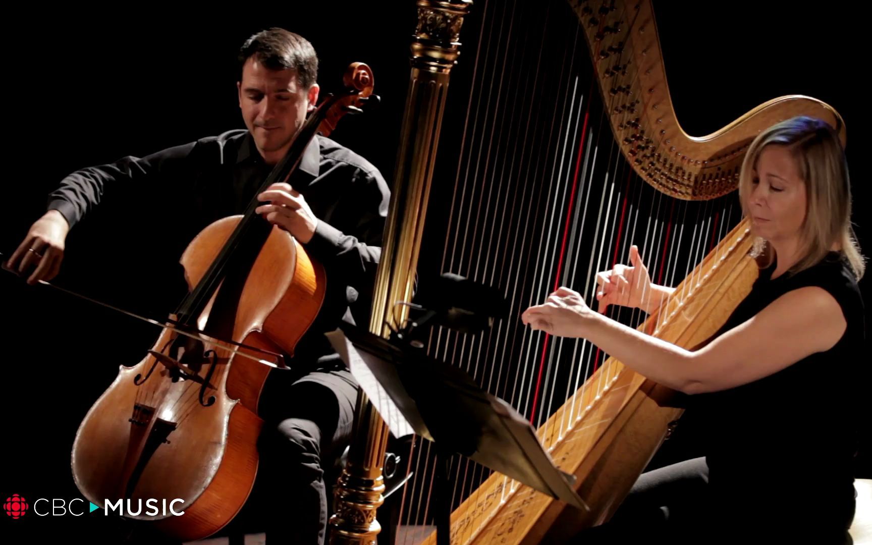 卡米尔·圣桑(camille saint-sa05ns)经典乐曲《the swan》