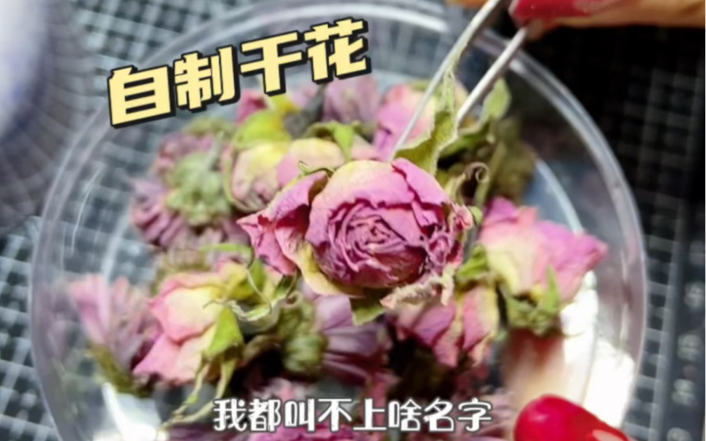 自制干花|小花花有了好去处哔哩哔哩bilibili