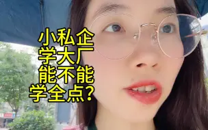 Download Video: 小私企学大厂，能不能学全点？