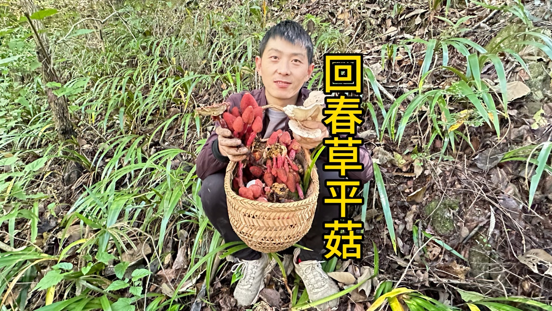 冬天也有很多野生菌,还遇到了神农四宝之一文王一支笔,发财了哔哩哔哩bilibili