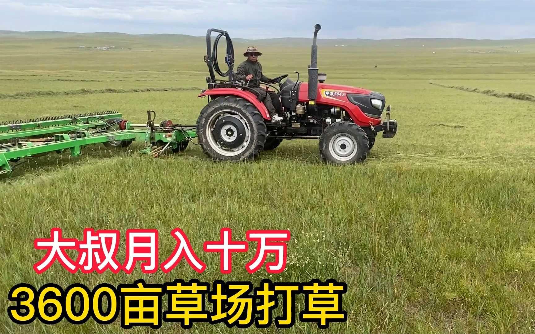 内蒙丰收打草季,7台打草机3天打完3600亩草场,每天工作10个小时