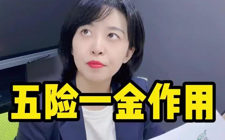 五险一金的作用、缴费比例,你了解多少?哔哩哔哩bilibili